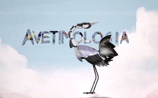 Avetimología - Birdtymology