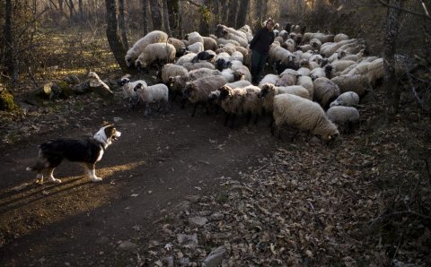 José Manuel Navia exposes in La Cabrera images about the wealth of the rural world | La Vanguardia