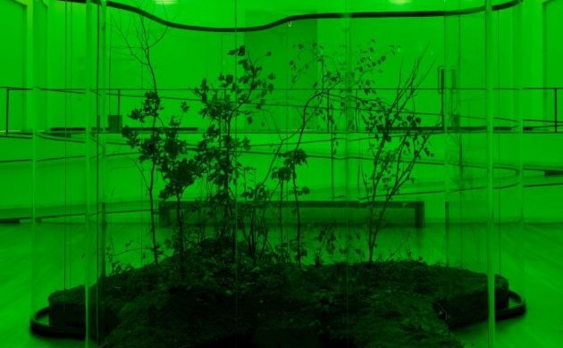 Daniel Steegmann Mangrané en Nottingham Contemporary 2019