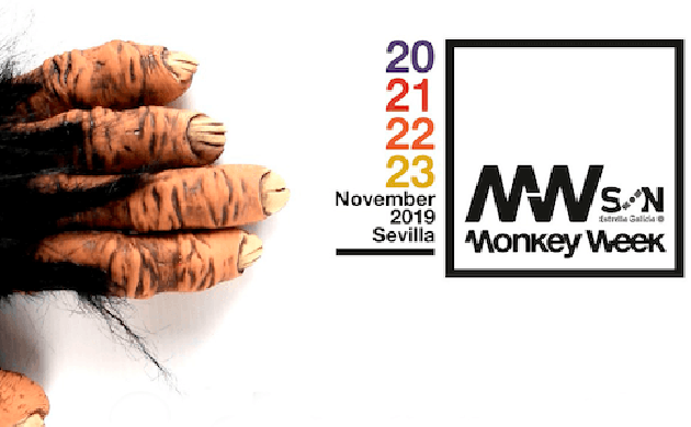 Monkey Week 2019