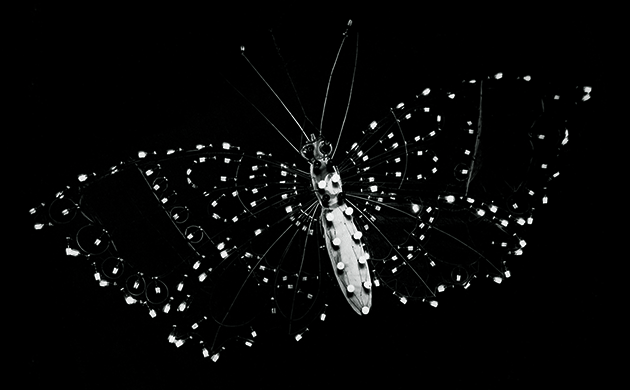 Nocturnas. Mientras la ciudad duerme... 1900-1960