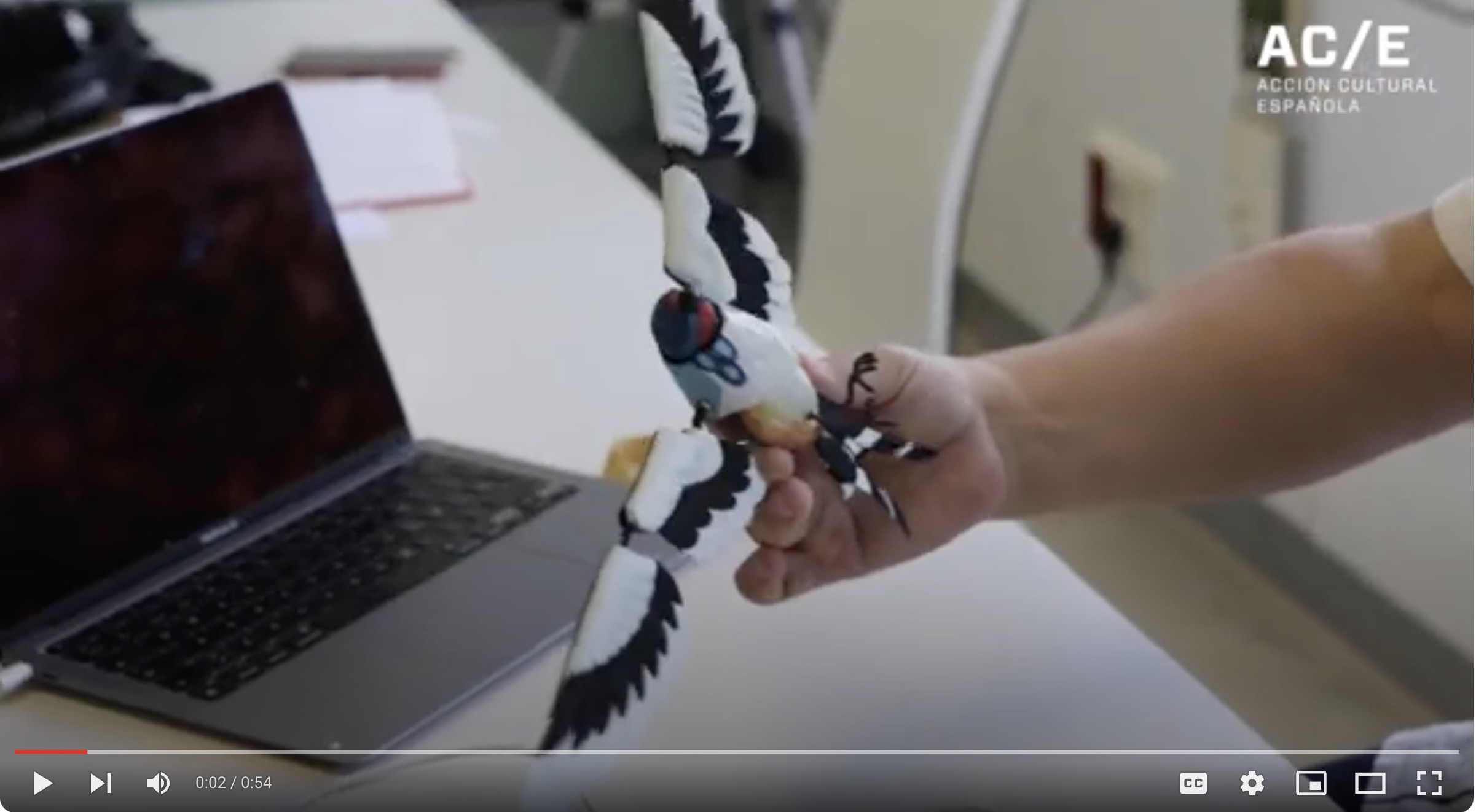 Making of &#39;Avetimología - Birdtymology&#39;