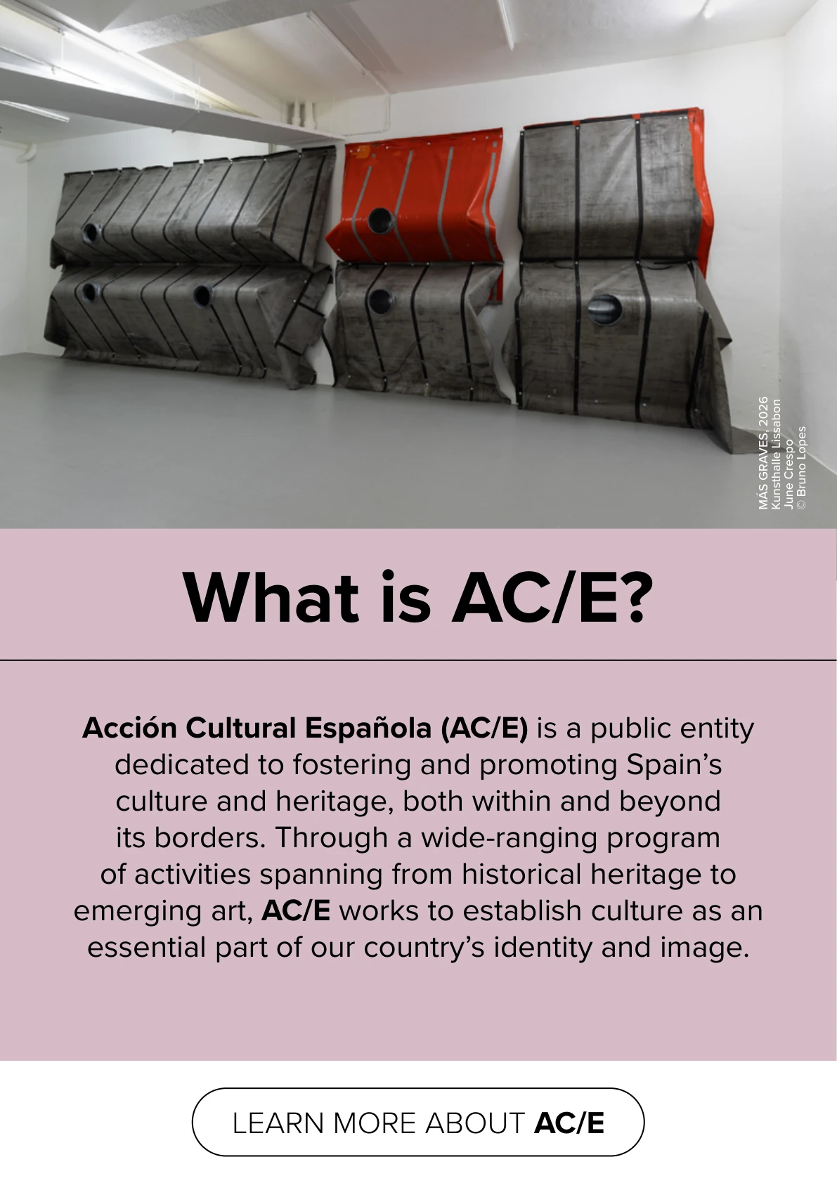 What is Acción Cultural Española?
