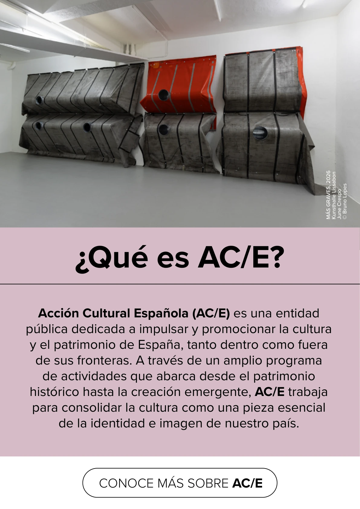 ¿Qué es Acción Cultural Española?