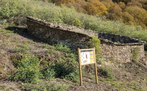 Una albariza de Quiroga, escenario para el arte contempor&aacute;neo | La Voz de Galicia
