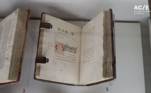 Nebrija. El orgullo de ser gramático&#39;. Formación