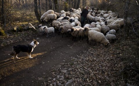 José Manuel Navia expone en La Cabrera imágenes sobre la riqueza del mundo rural | La Vanguardia