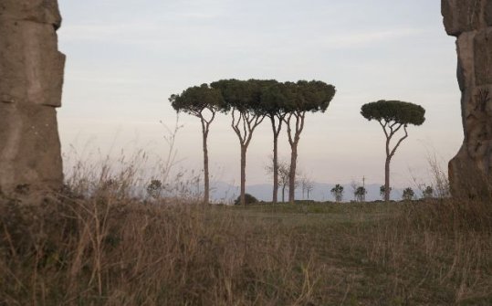 Indexar el paisaje