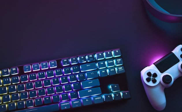 Libro Blanco del Desarrollo Español de los Videojuegos 2024