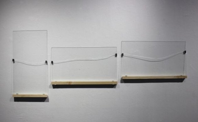 Whitney Independent Study Program, ISP 2015