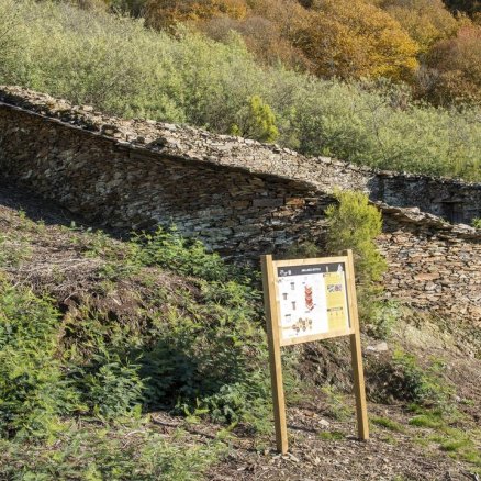 Una albariza de Quiroga, escenario para el arte contemporáneo | La Voz de Galicia