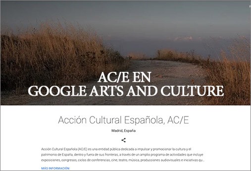 ACE en Google Arts